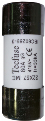 80AMP HOUSE SERVICE CUT OUT 22.2MM 11A